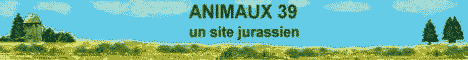 eleveur amateur d'animaux de compagnie domestiques et d agrement du jura avec fabrication de couveuse,lois sur l'elevage,la vente,la protection avec photos et annonces d'expositions